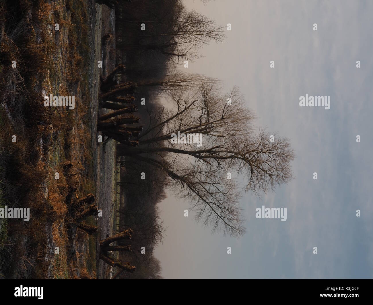 drinking water protection area auesee wesel flÃ¼ren Stock Photo
