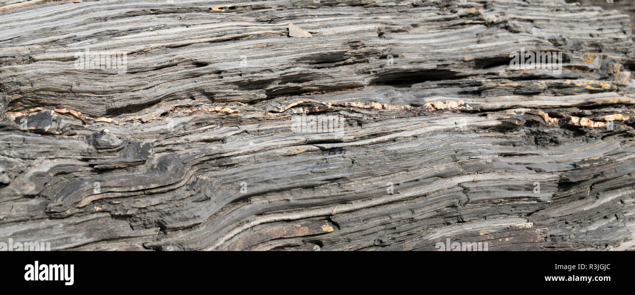 striped rock in the harbor of boscastle in cornwall Stock Photo