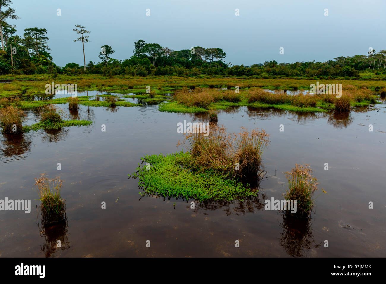 Cuvette congo hires stock photography and images Alamy