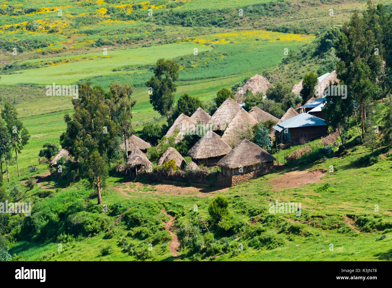 Traditional village houses with farmland, between Addis Ababa and Bahir