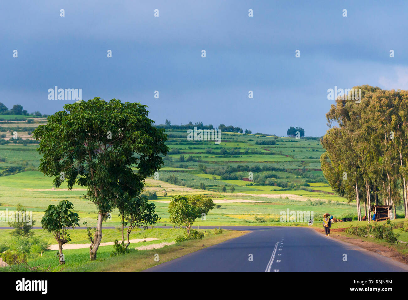 Road through farmland, between Addis Ababa and Bahir Dar, Ethiopia