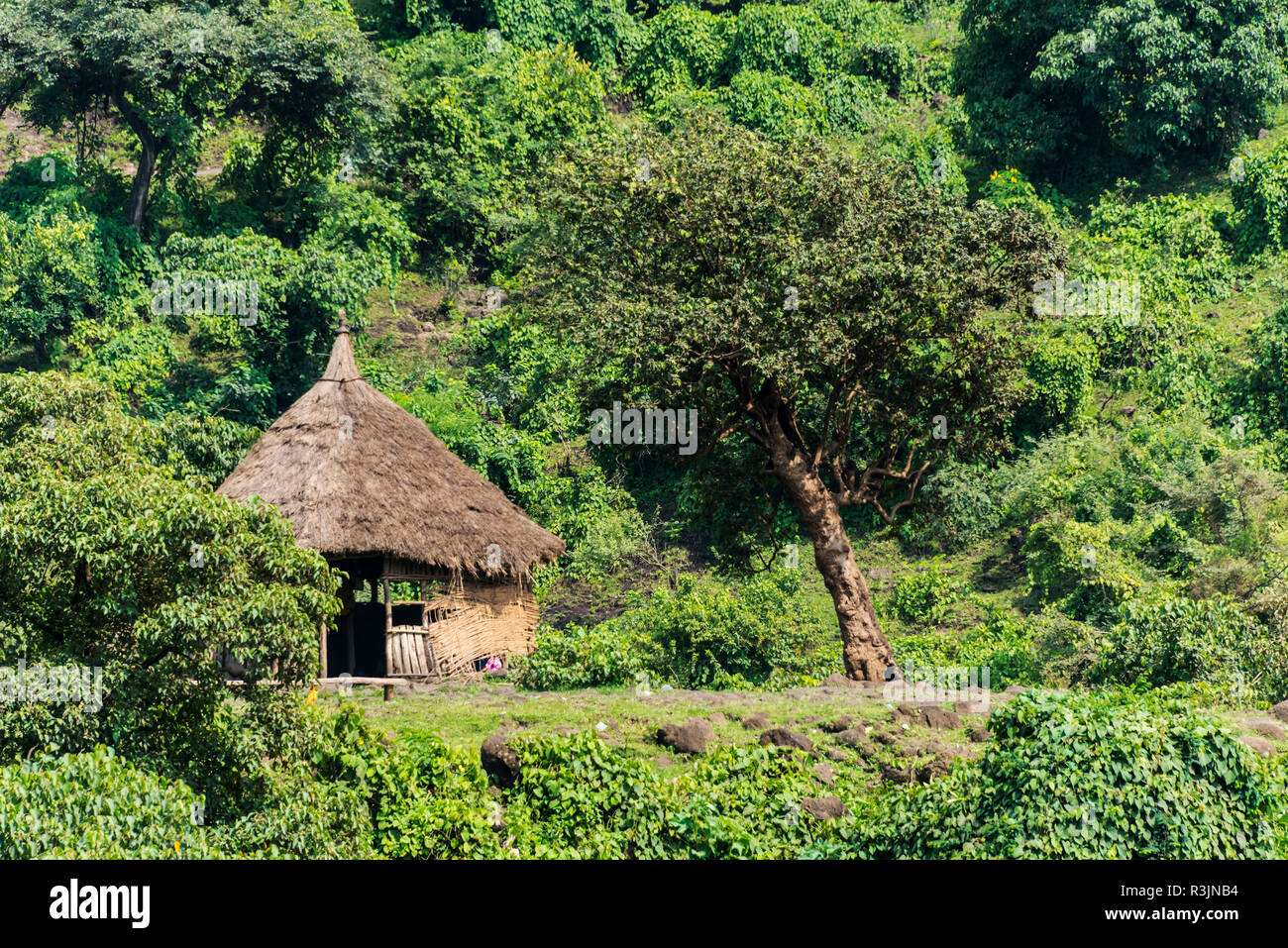 Traditional village house in the mountain, Bahir Dar, Ethiopia Stock