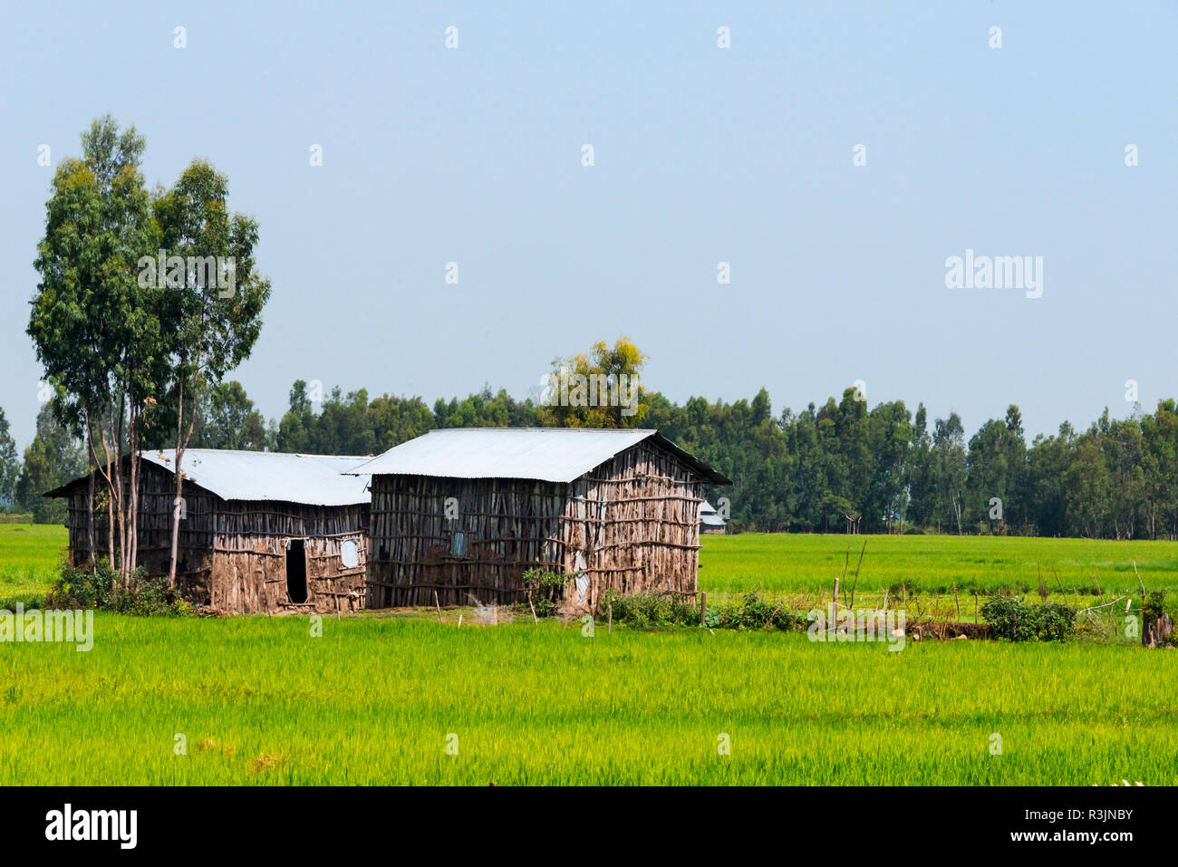 Village house, Bahir Dar, Ethiopia Stock Photo Alamy