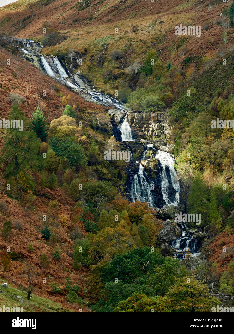 Rhiwargor Falls (Pistyll Rhyd-y-meinciau). The waterfalls are a series of cascades on the river Eiddew which runs into Lake Vynwy mid Wales. Stock Photo