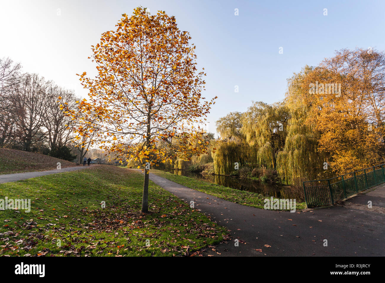South Park, Darlington,England,UK Stock Photo Alamy