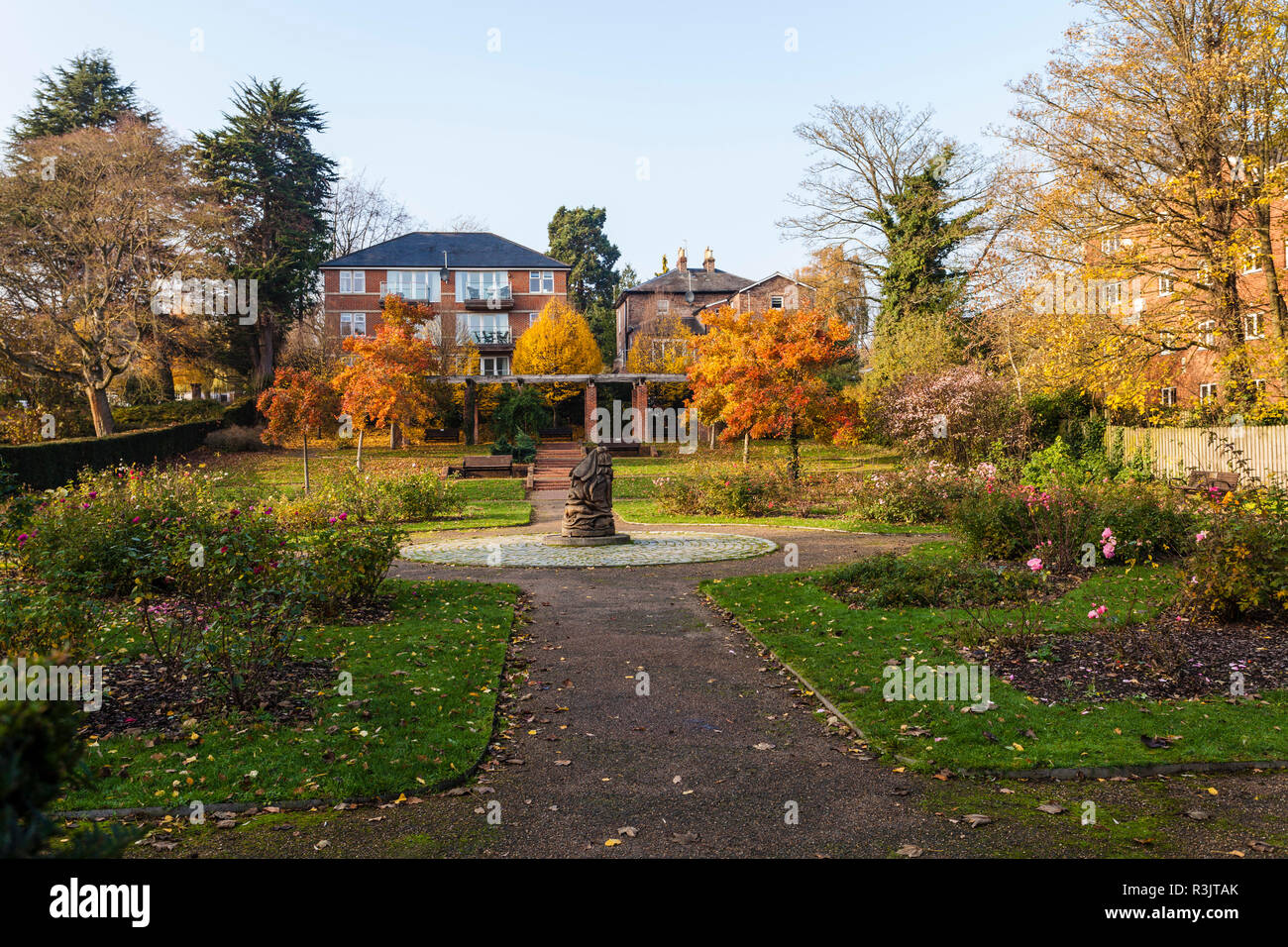 The Rose Garden at the South Park, Darlington,England,UK Stock Photo
