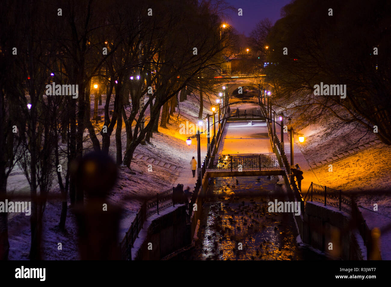 Night winter landscape in the city park. Bridge over the river. Park ...