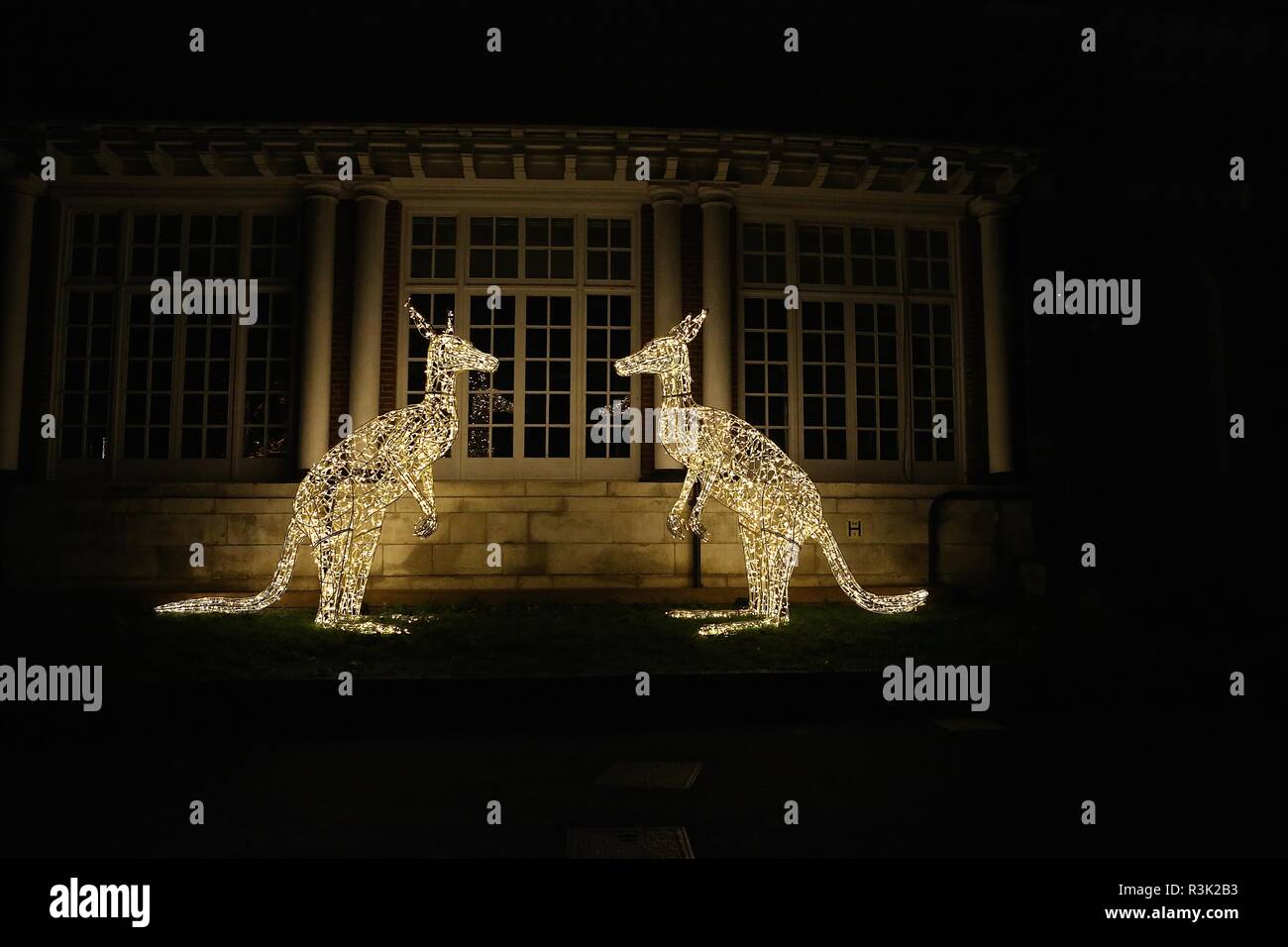 Lauch night of Christmas at london Zoo Stock Photo Alamy