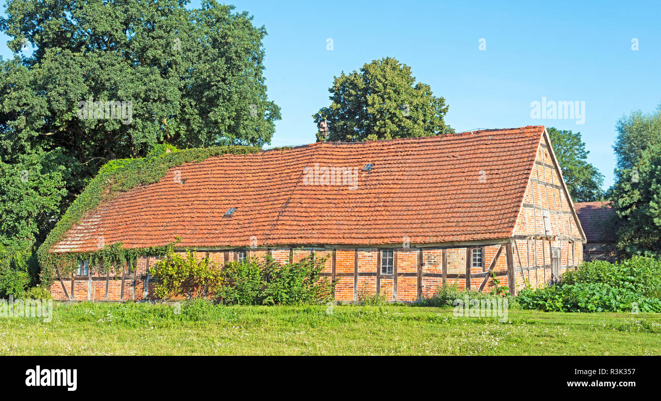 overgrown farmhouse in brandenburg Stock Photo