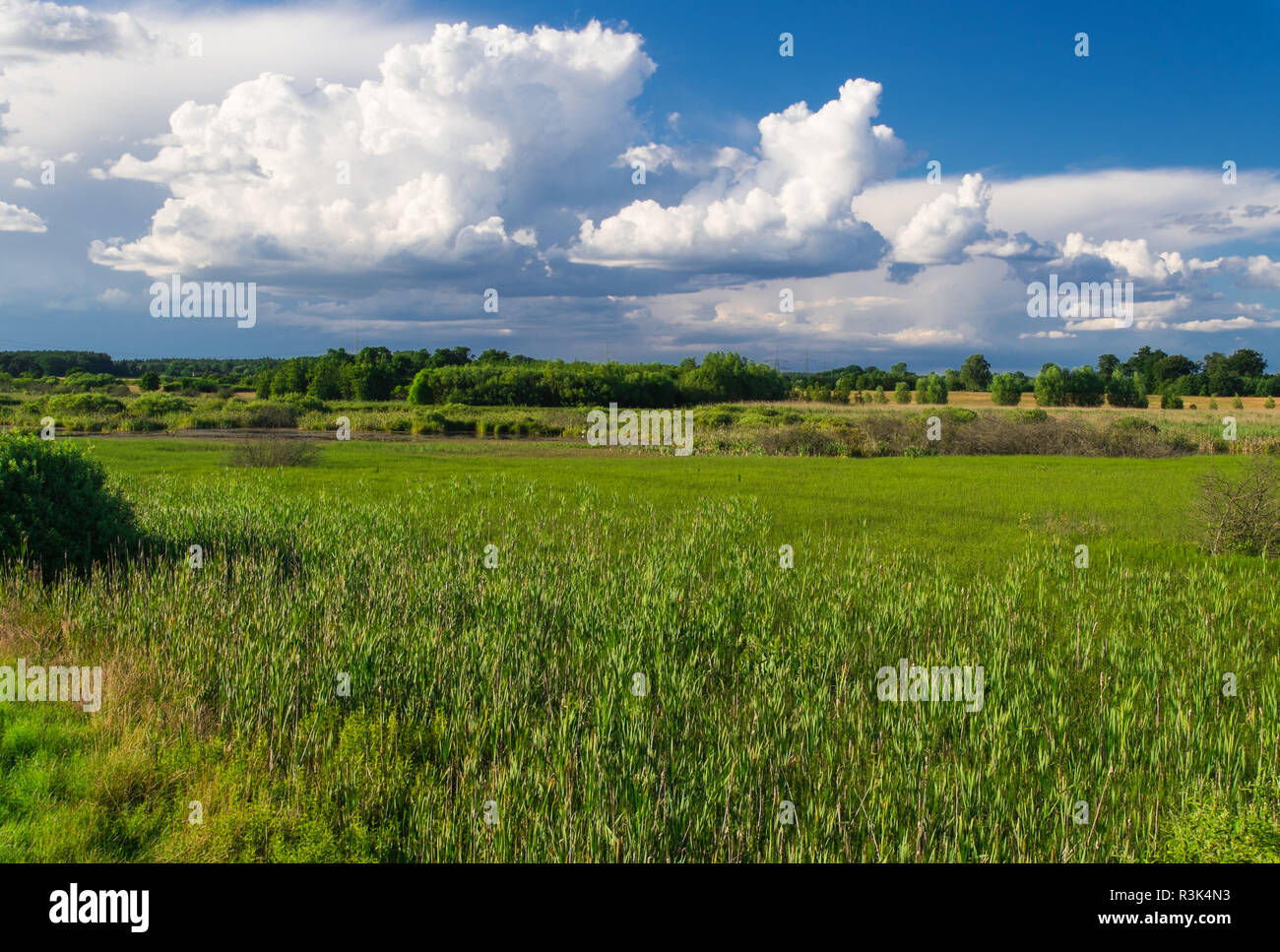 landscape near rogeez,mecklenburg-vorpommern Stock Photo