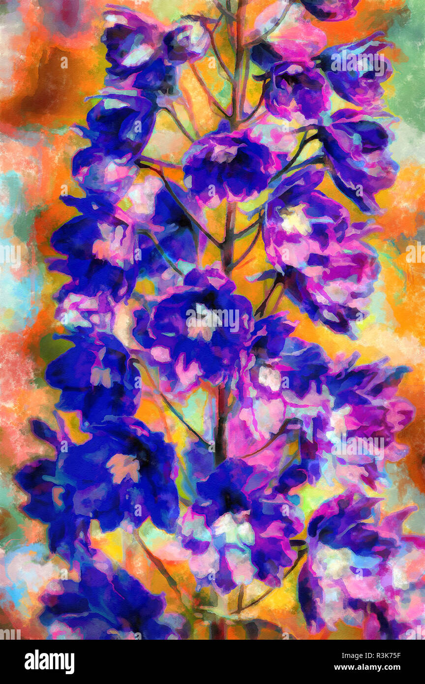Illustrations flowers Delphinium, Spornik Stock Photo