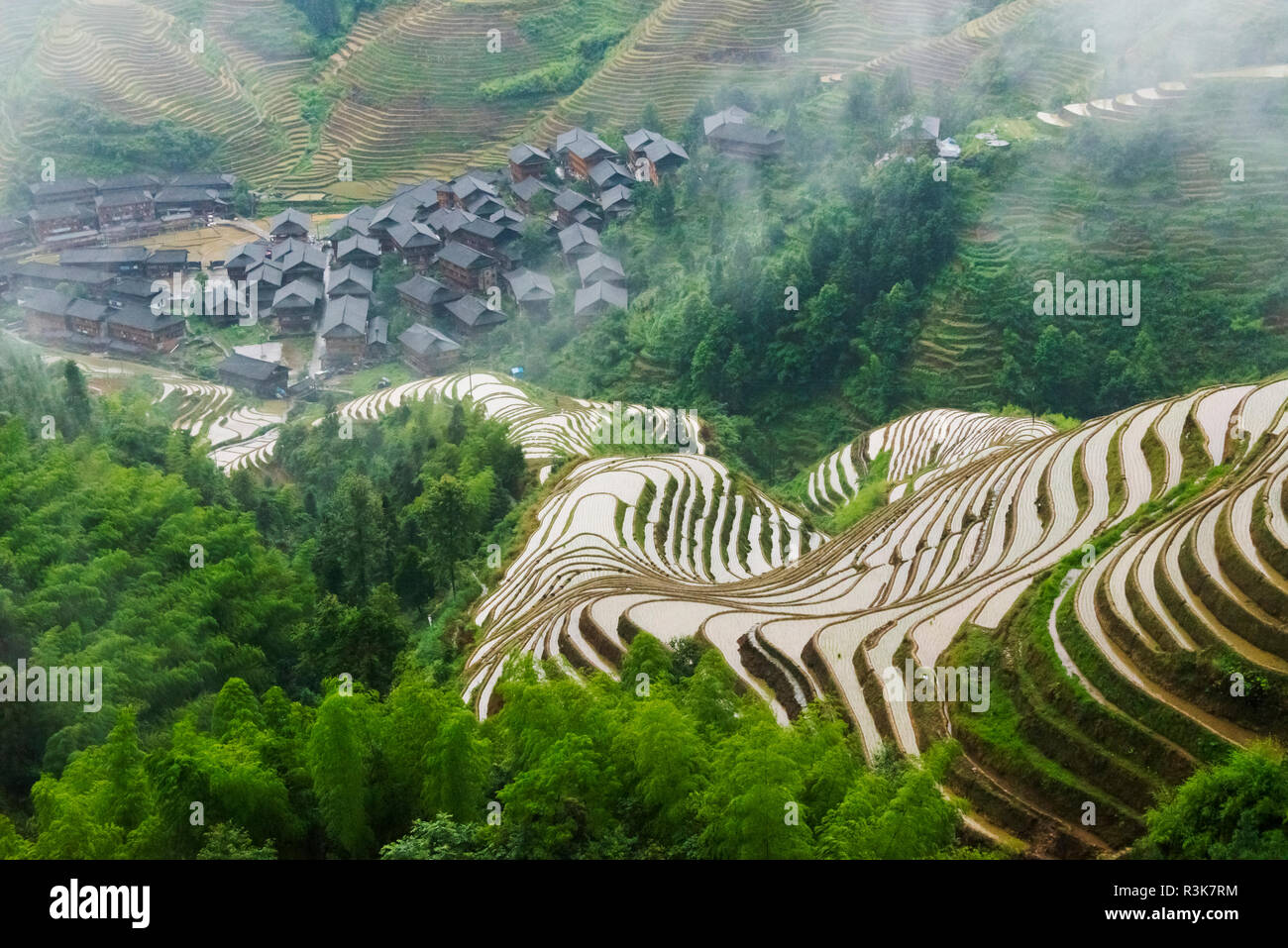 Water filled rice terraces in morning mist in the mountain, Dazhai, Guangxi Province, China Stock Photo