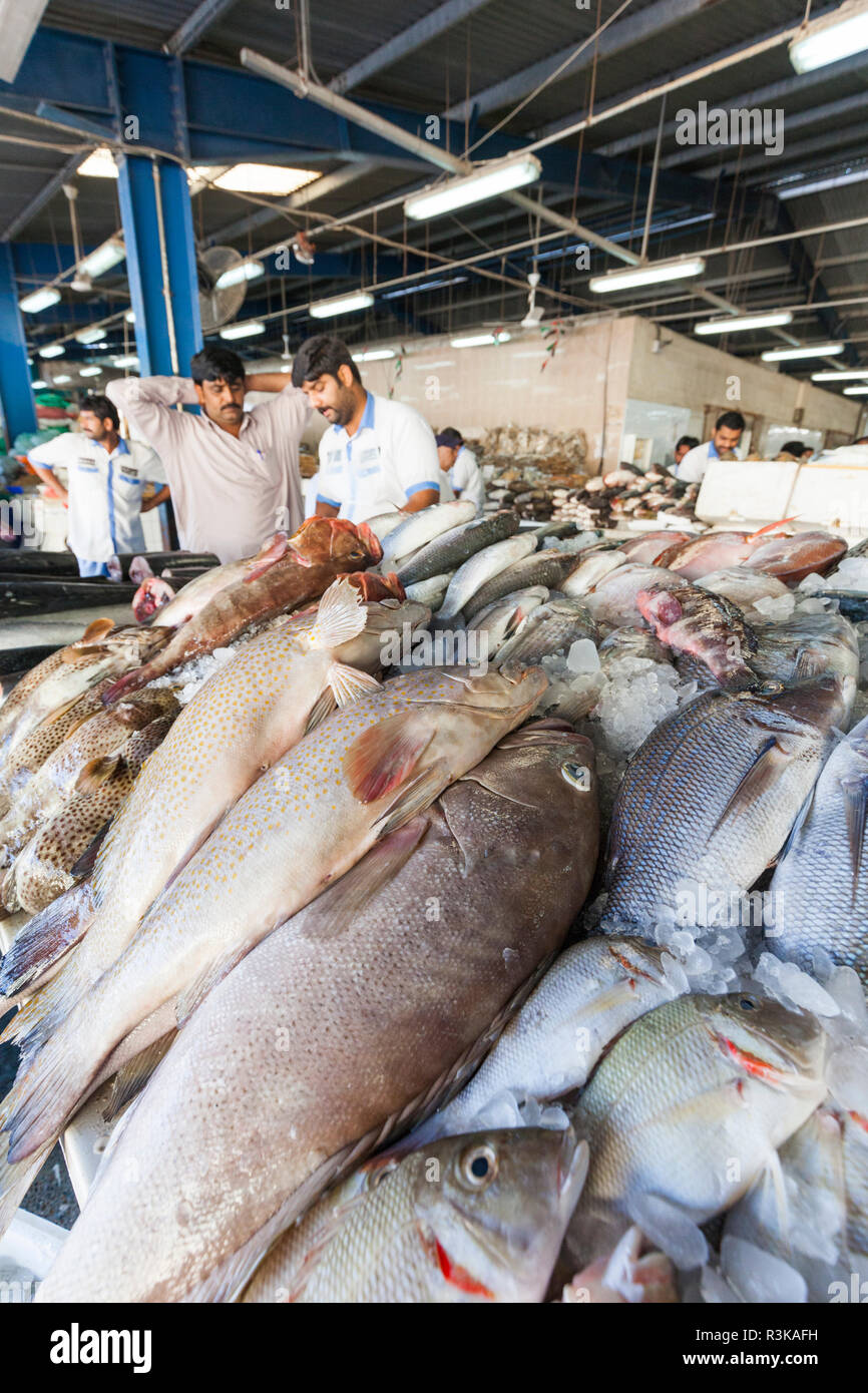 UAE, Dubai, Deira. Dubai Fish Market Stock Photo Alamy