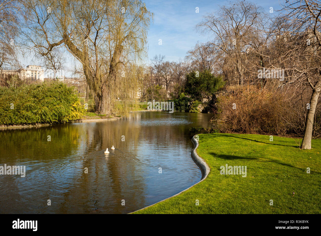 green park with cypress trees,plants and reeds Stock Photo
