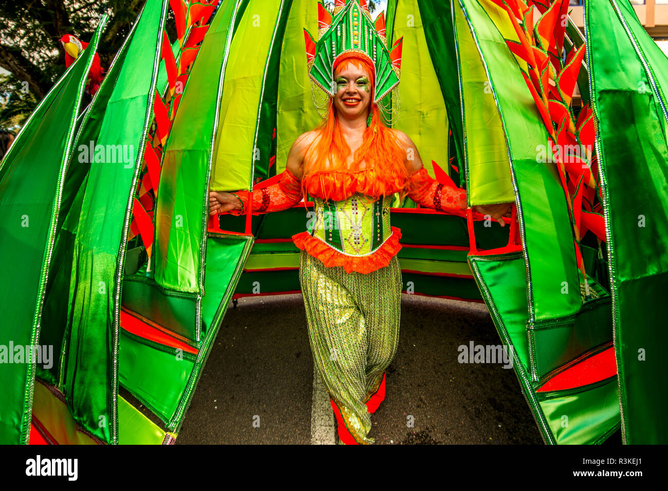 Caribbean participants in the International Carnival Seychelles, in
