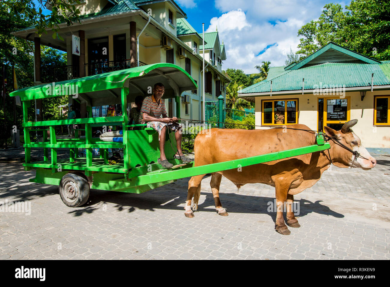 Ox cart in La Passe, La Digue, Republic of Seychelles, Indian Ocean