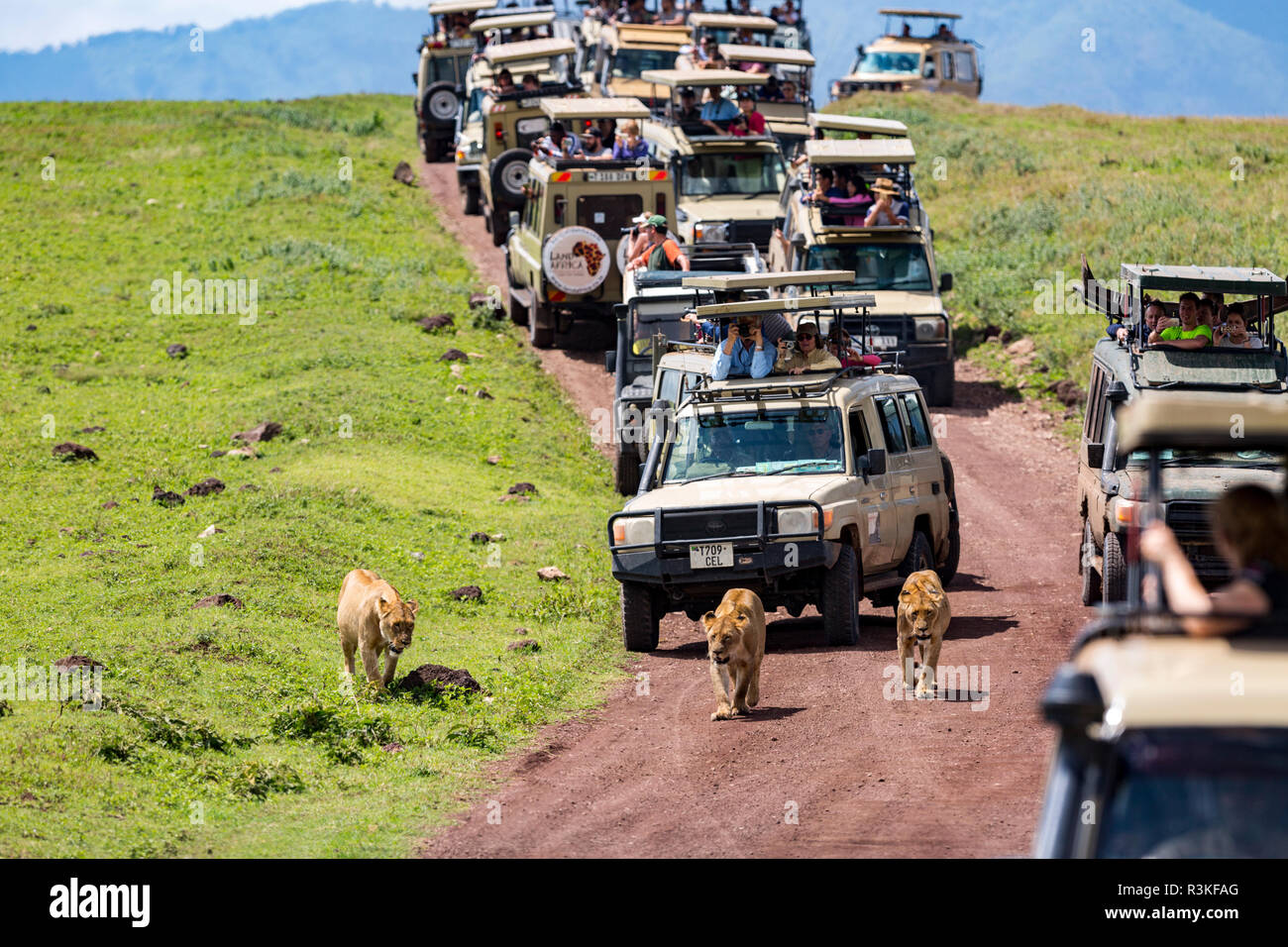 Tourist vehicles hires stock photography and images Alamy