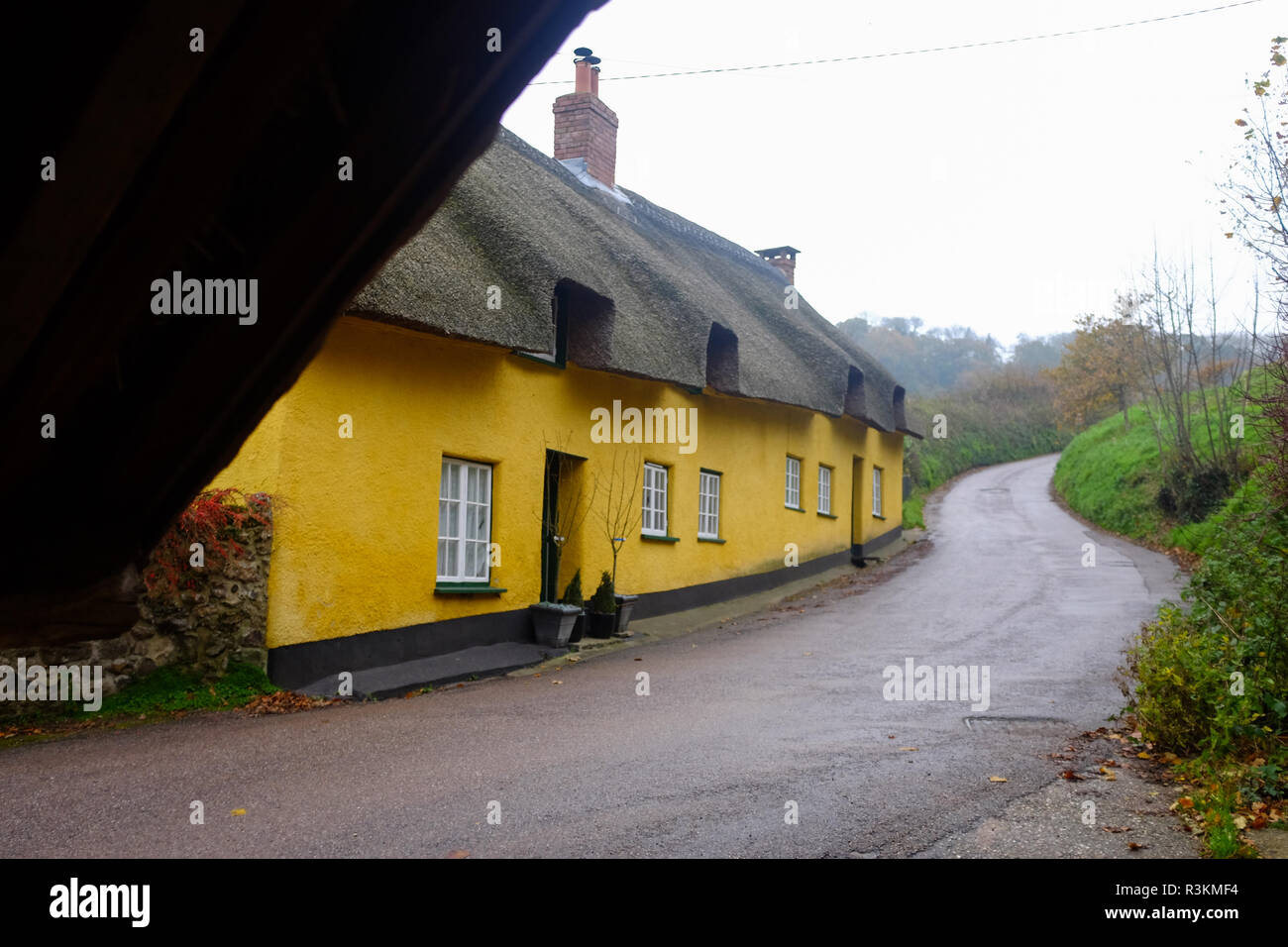 Thatched yellow cottages at Branscpmbe village in East Devon UK Stock