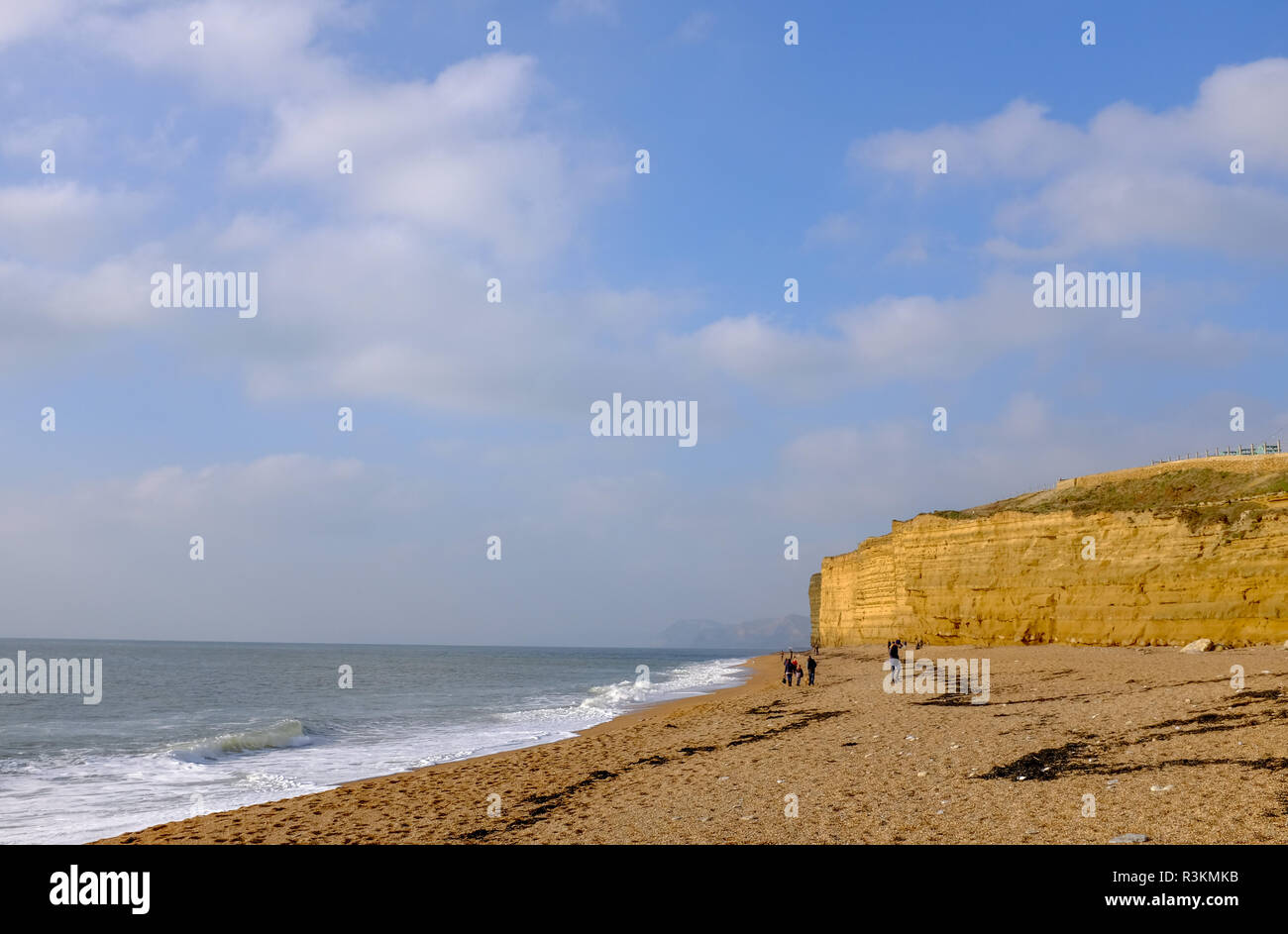 Famous Hive beach at Burton Bradstock in West Dorset UK Stock Photo