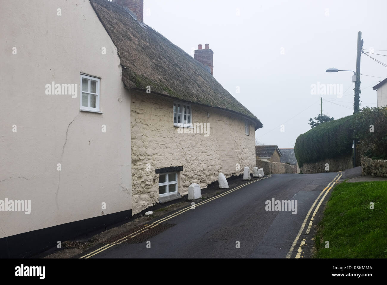 Old quaint thatched cottages in Charmouth in West Dorset UK Stock Photo
