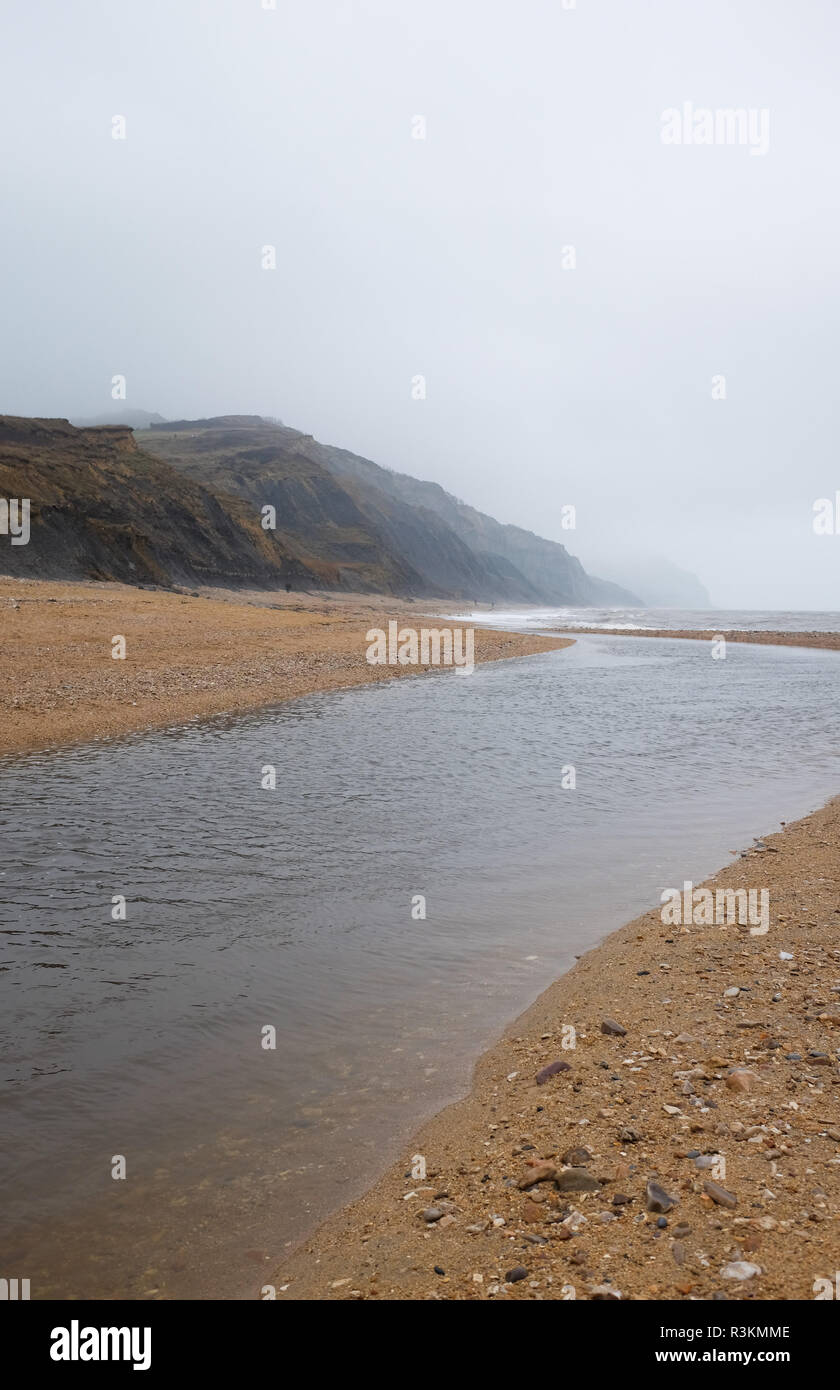 On the famous Jurassic coast beach between Charmouth and Lyme Regis in West Dorset UK Stock Photo