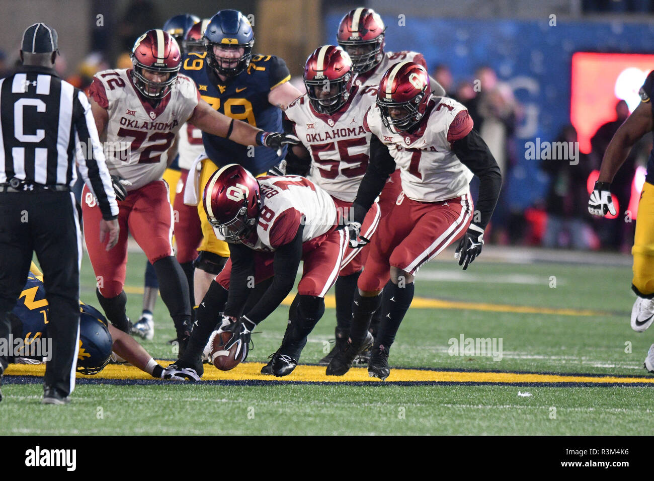 Wire scoops hires stock photography and images Alamy