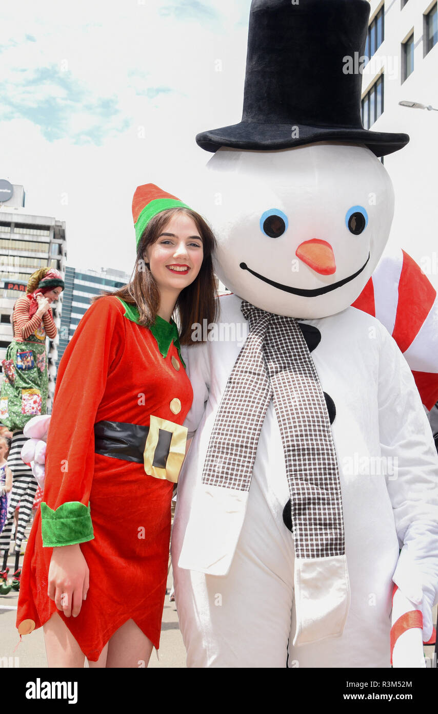 Wellington, New Zealand. 24th Nov, 2018. Performers pose for photos during the annual Very Welly Christmas Parade held at Lambton Quay in Wellington, New Zealand, on Nov. 24, 2018. Credit: Guo Lei/Xinhua/Alamy Live News Stock Photo