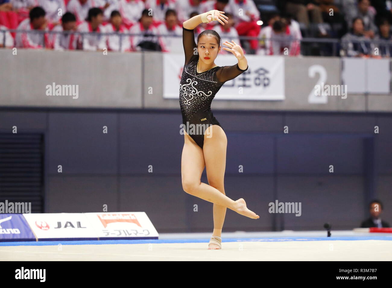 Takasaki Arena, Gunma, Japan. 24th Nov, 2018. Sae Numata, NOVEMBER 24