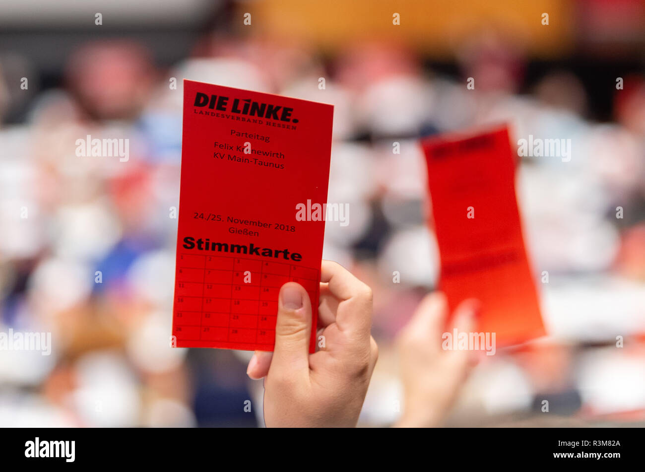 Die Linke Logo High Resolution Stock Photography And Images Alamy