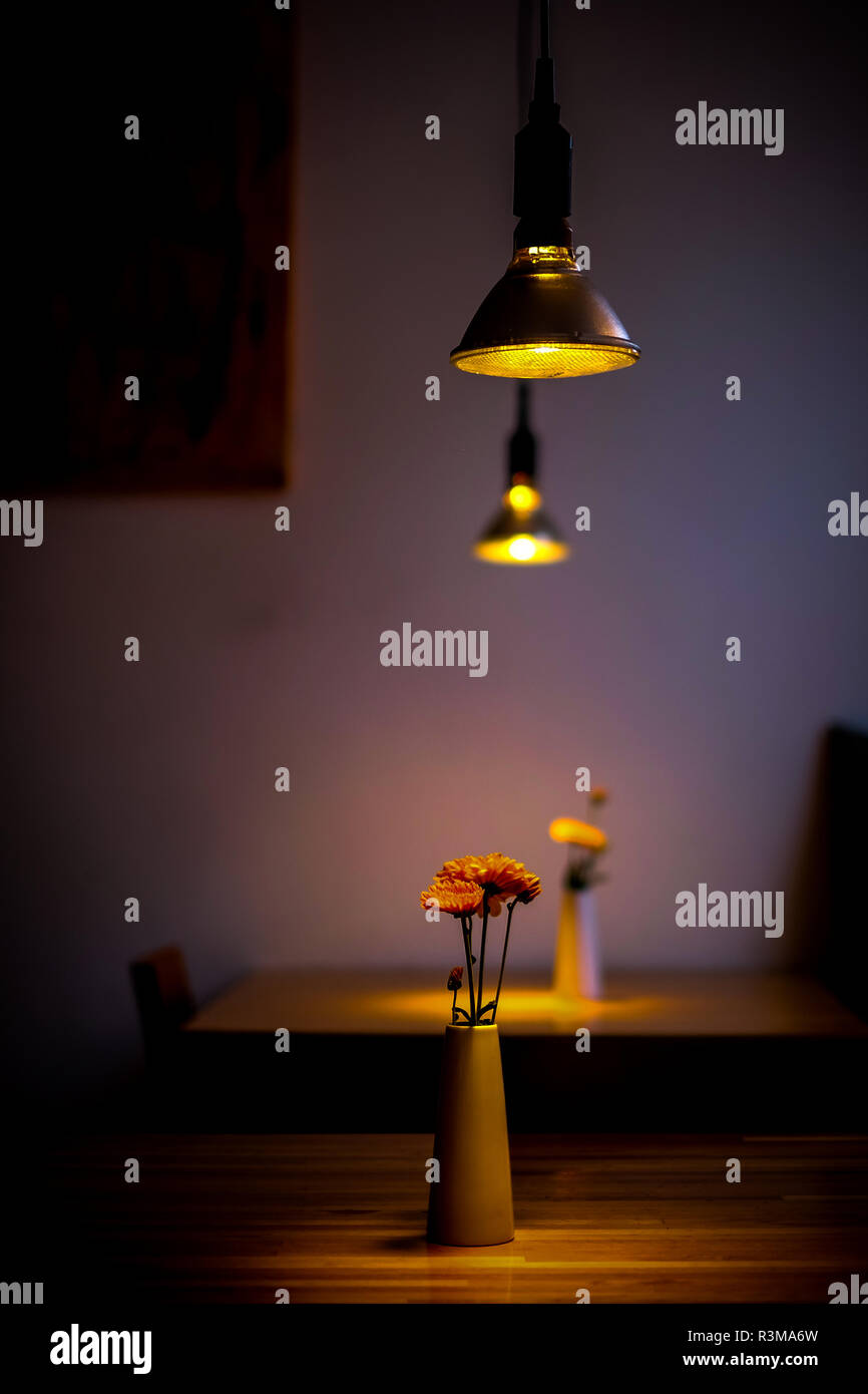 Indoor Still Life Showing Warmly Illuminated Orange Flowers In