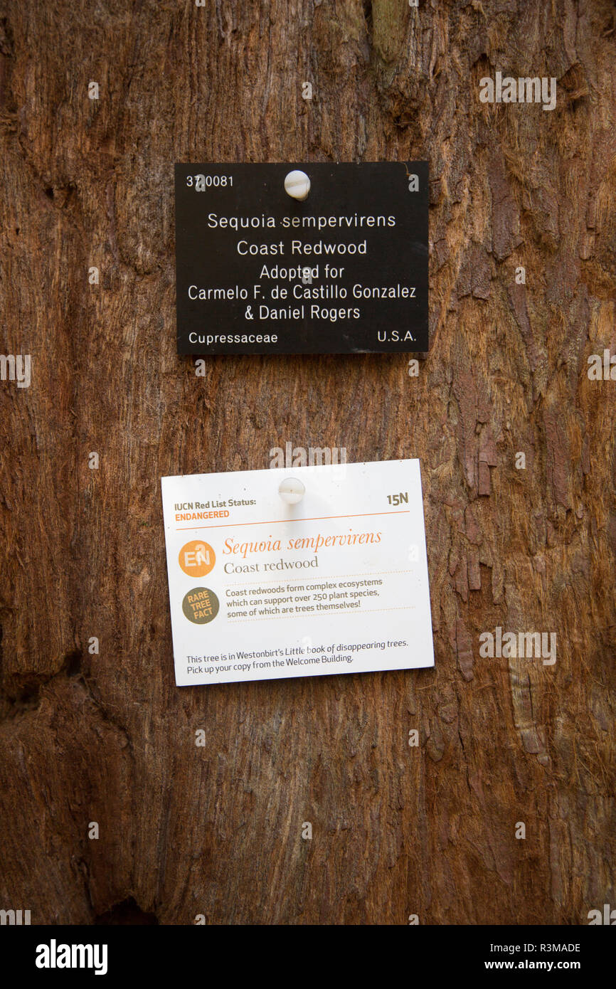 Tree Identifier Label Tree species identification label, National arboretum, Westonbirt ...