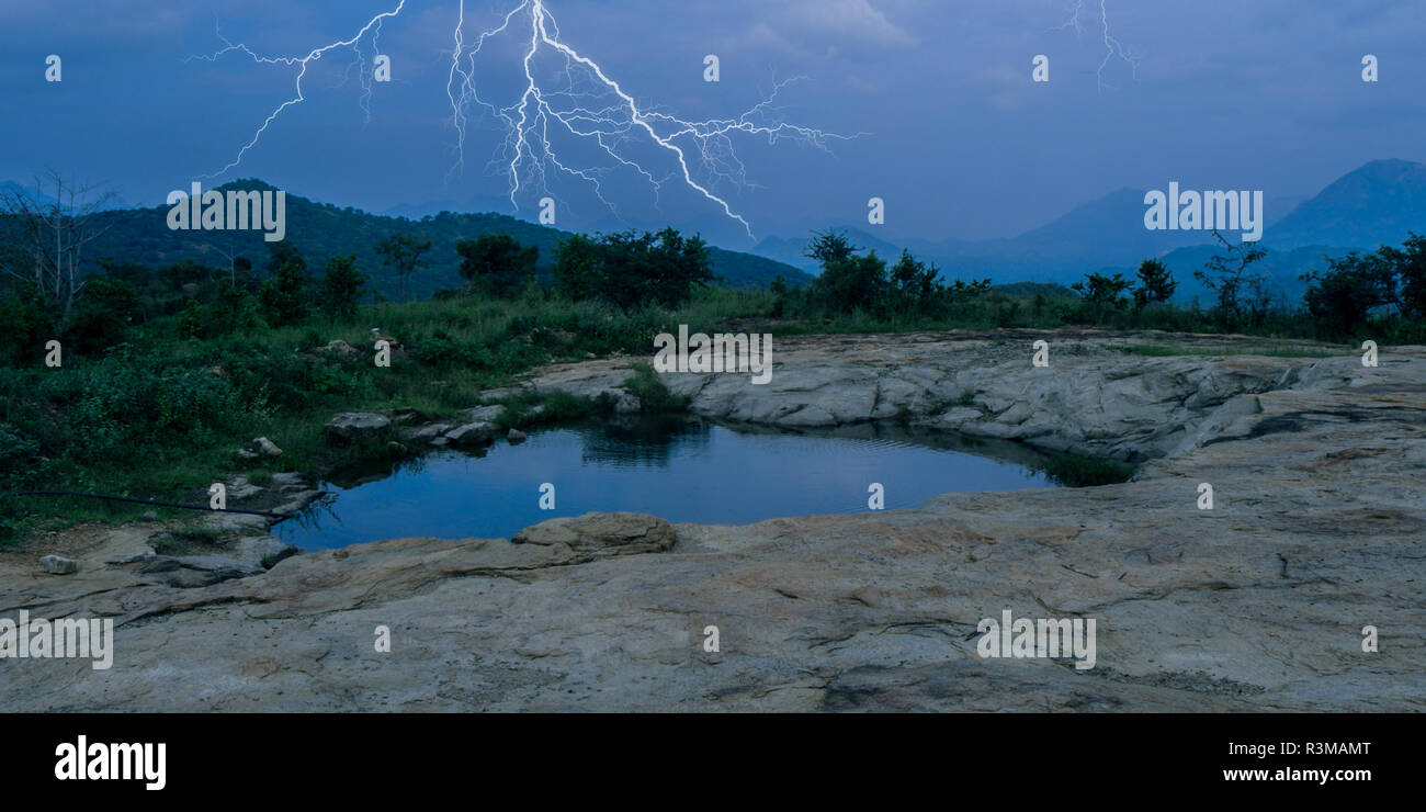 Lightning strikes over a dark forest, Stock Photo