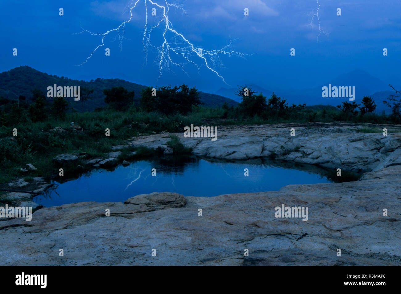 Lightning strikes over a dark forest Stock Photo