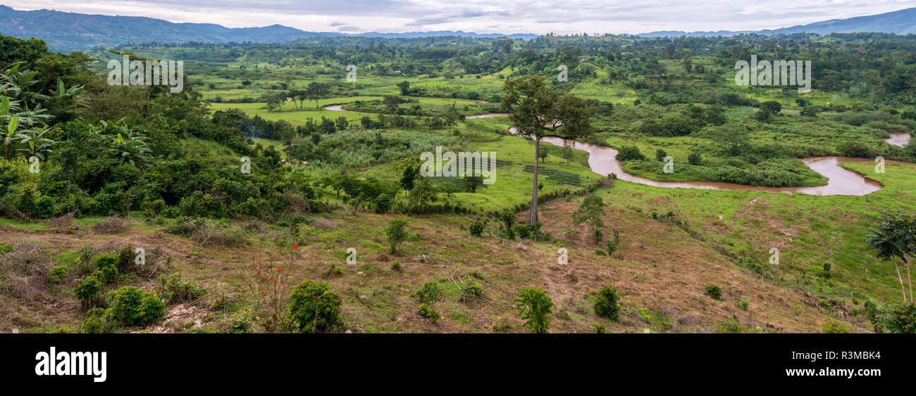 Rural scene near Bwindi Impenetrable Forest. Uganda Stock Photo