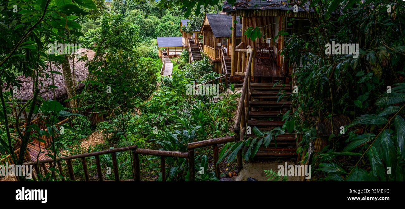 Buhoma Lodge. Bwindi Impenetrable Forest. Uganda Stock Photo