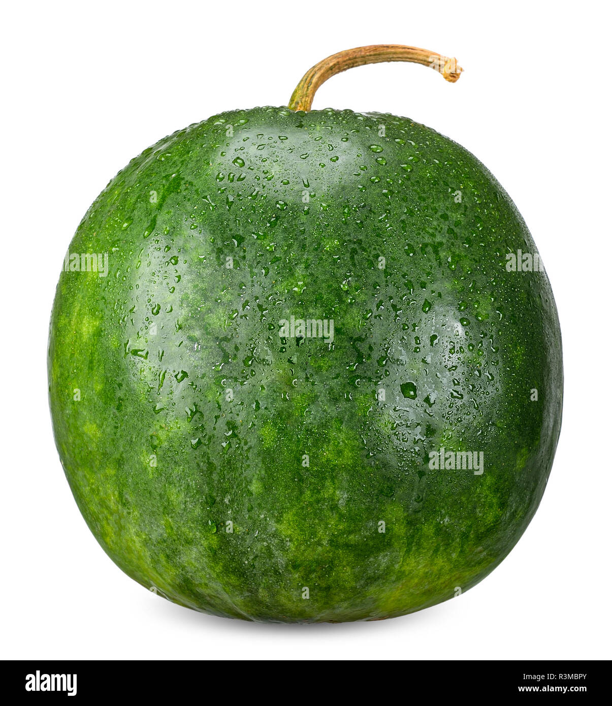 Winter melon isolated on white cllipping path. Stock Photo