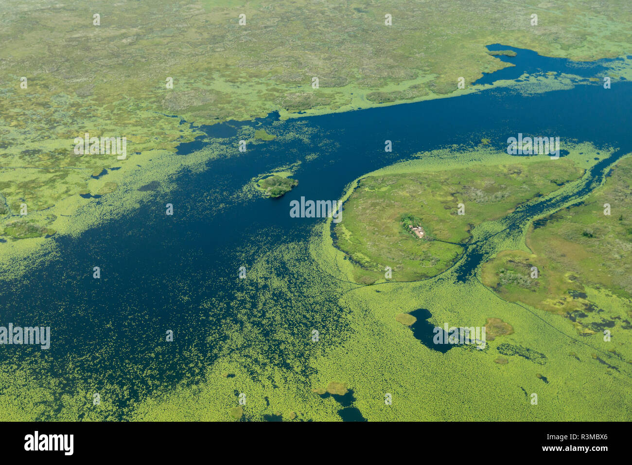 Aerial view of wetlands to the south west of Lake Victoria. Uganda. Stock Photo