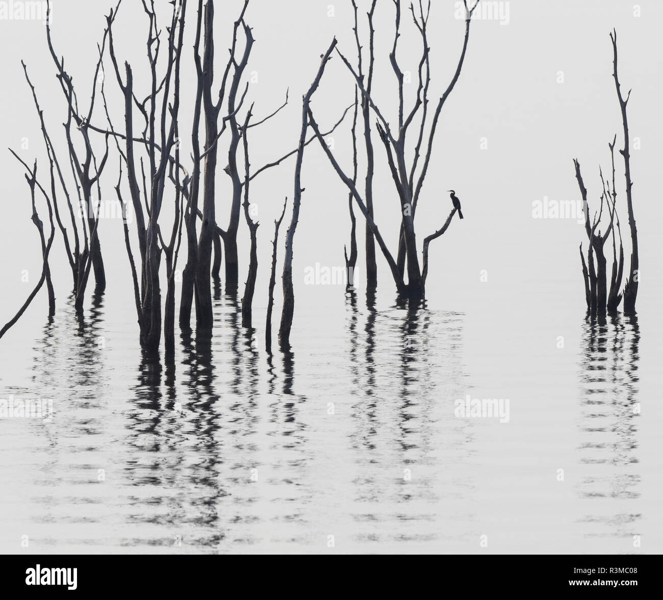 Africa, Zimbabwe, Matusadona National Park. Reflections on Lake Kariba. Credit as: Bill Young / Jaynes Gallery / DanitaDelimont.com Stock Photo