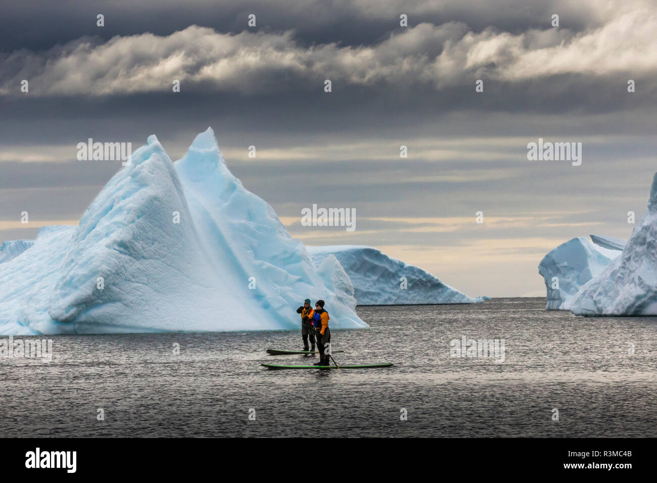 Paddleboarders and icebergs, Antarctica Stock Photo