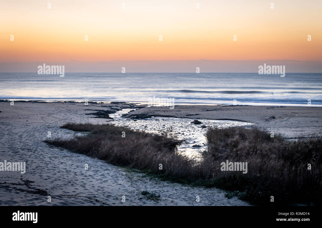 Water stream flows along the beach towards the ocean after the sun sets in the horizon. Long Exposure. Clear sky. Golden Hour. Copy Space. Stock Photo