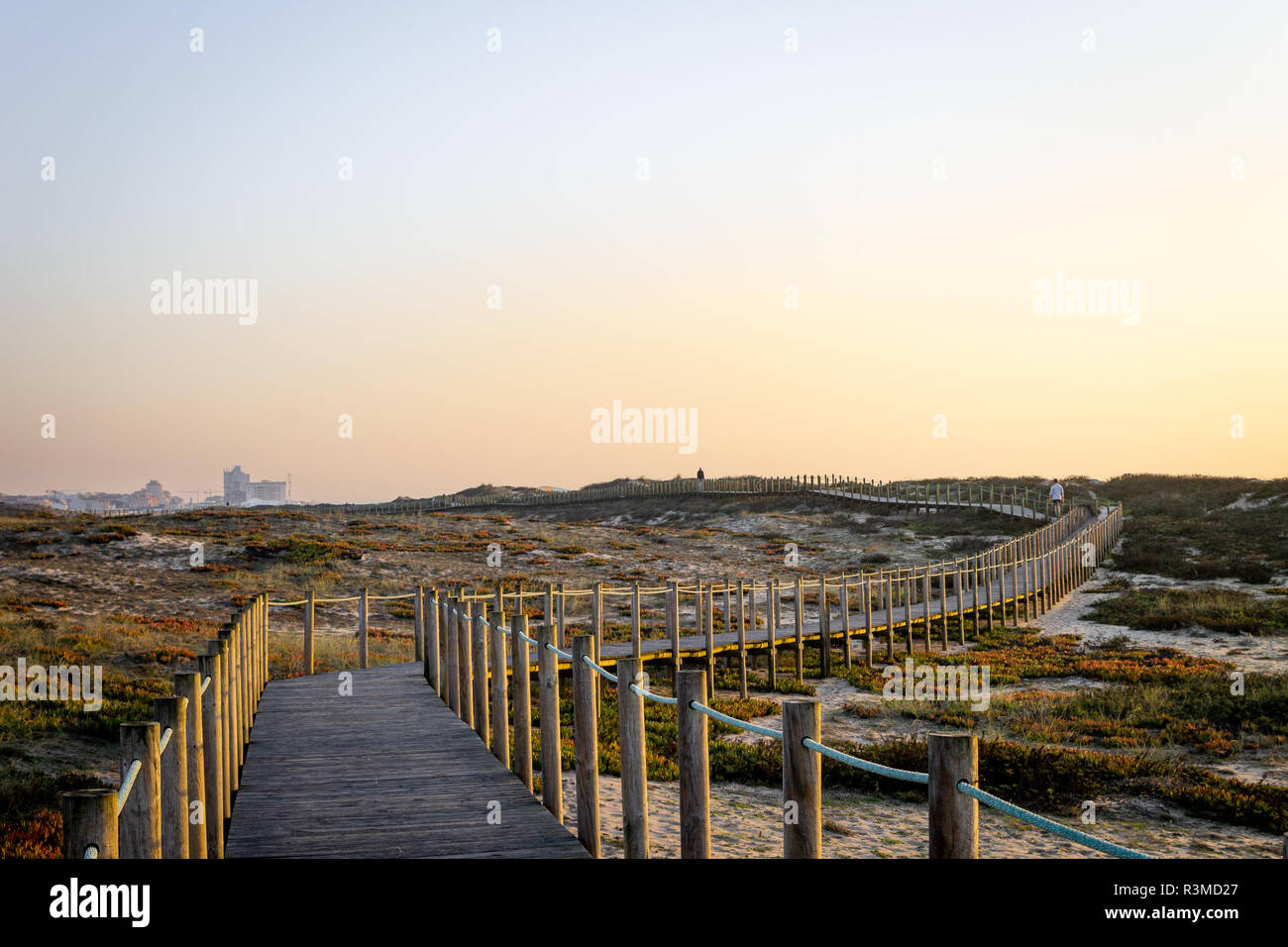 Boardwalk amidst vegetation leads to distant city. Copy space. Clear day. Warm light. Stock Photo