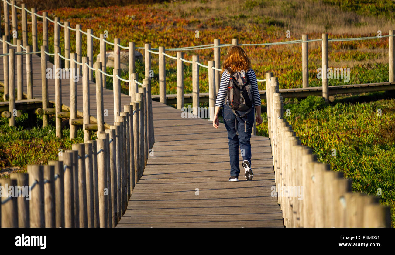 Young redheaded woman walks on a boardwalk amidst vegetation. Backpack, jeans. Rear View. Stock Photo