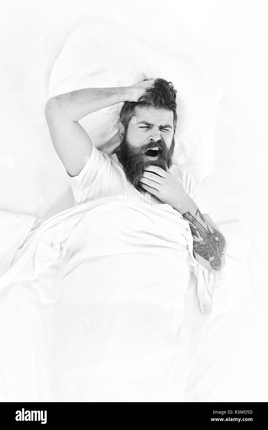 Man with forgetful yawing face wake up, lay on bed, scratching hair with hands, top view. Man try to remember, white background. Hipster with beard an Stock Photo