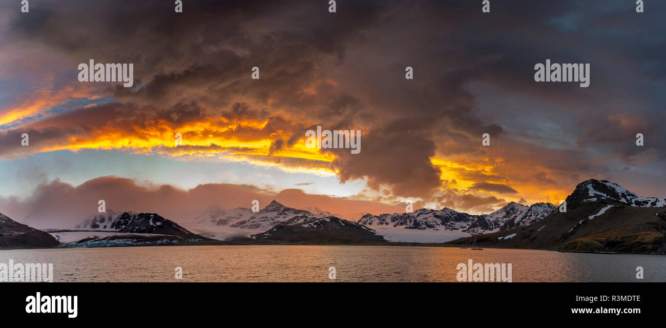 St. Andres Bay on South Georgia Island during sunset. On the coast is a huge colony of King Penguins (Aptenodytes Patagonicus) Stock Photo