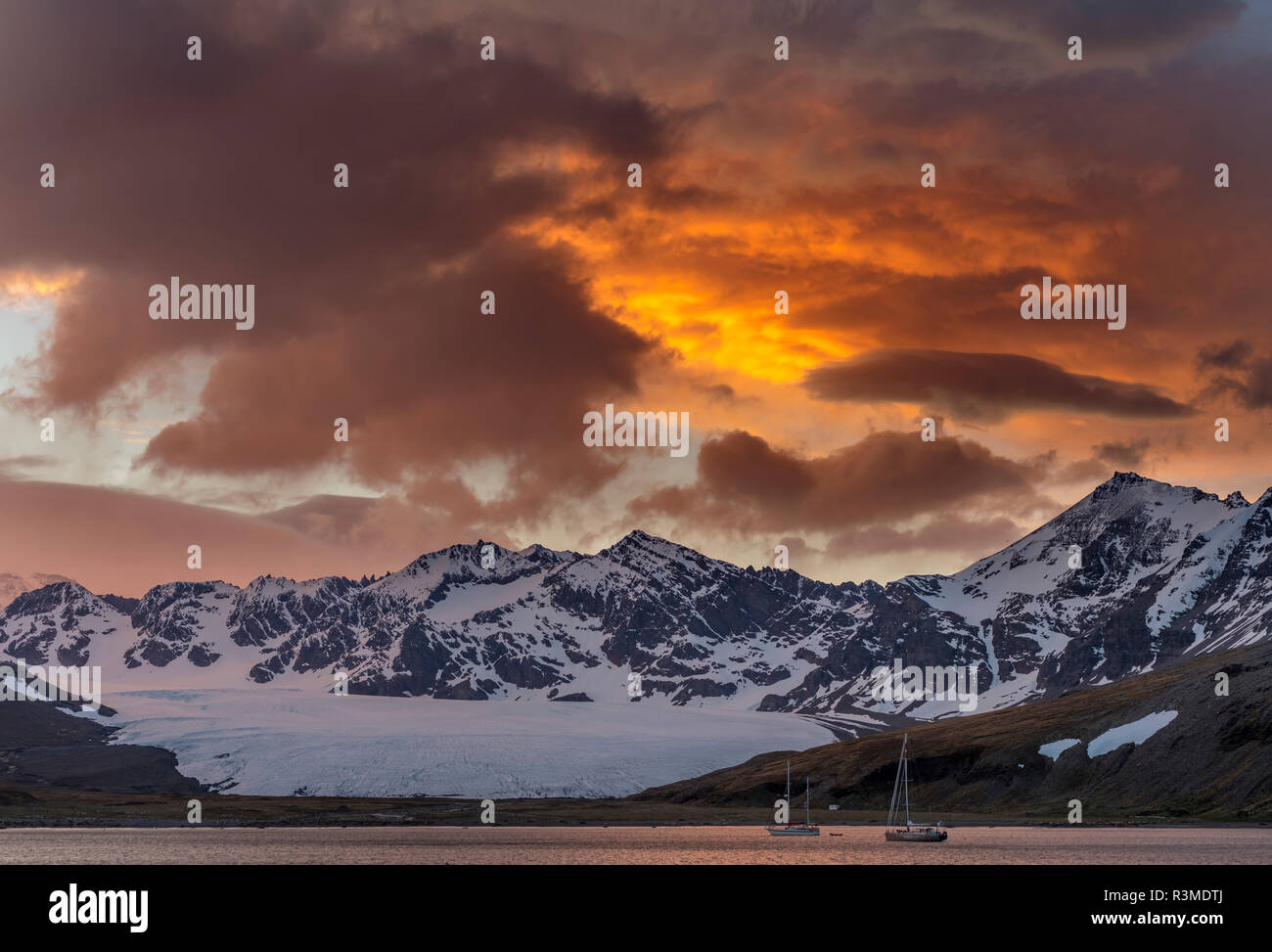 St. Andres Bay on South Georgia Island during sunset. On the coast is a huge colony of King Penguins (Aptenodytes Patagonicus) (Editorial Use Only) Stock Photo