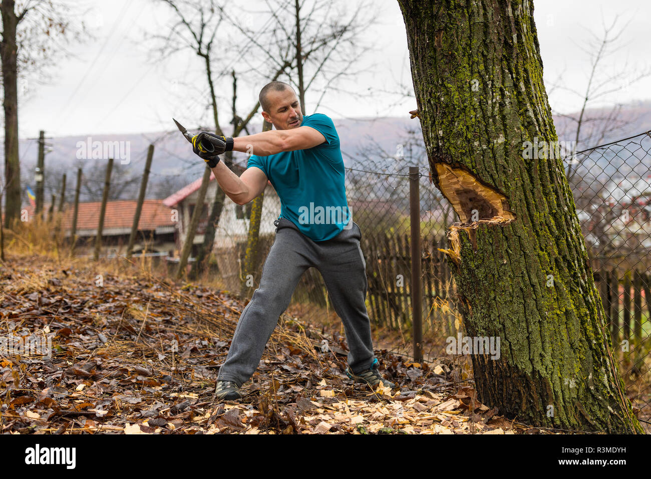 Chopping Down Tree Ax High Resolution Stock Photography and Images - Alamy