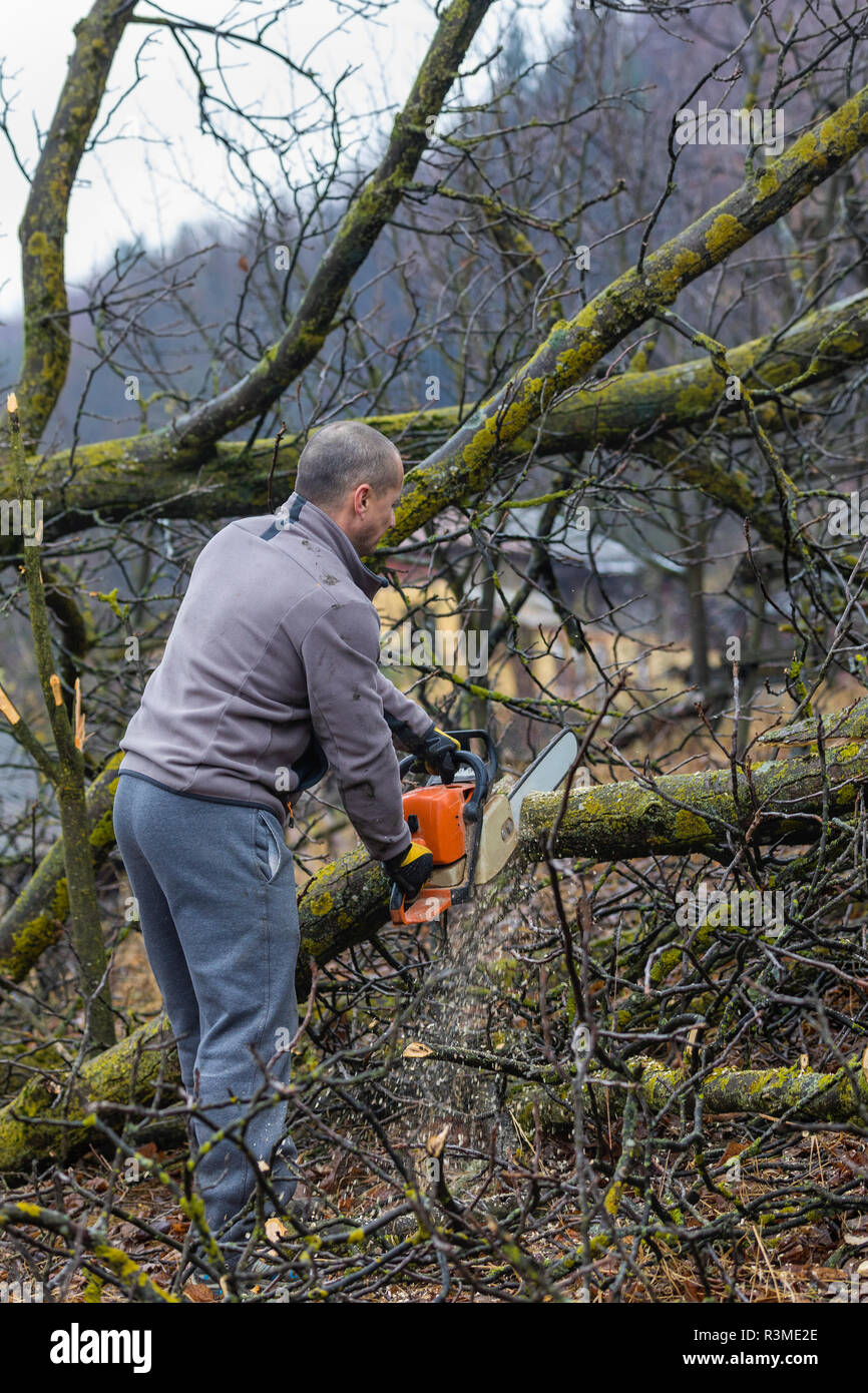 Blade chainsaw cuts log hi-res stock photography and images - Alamy