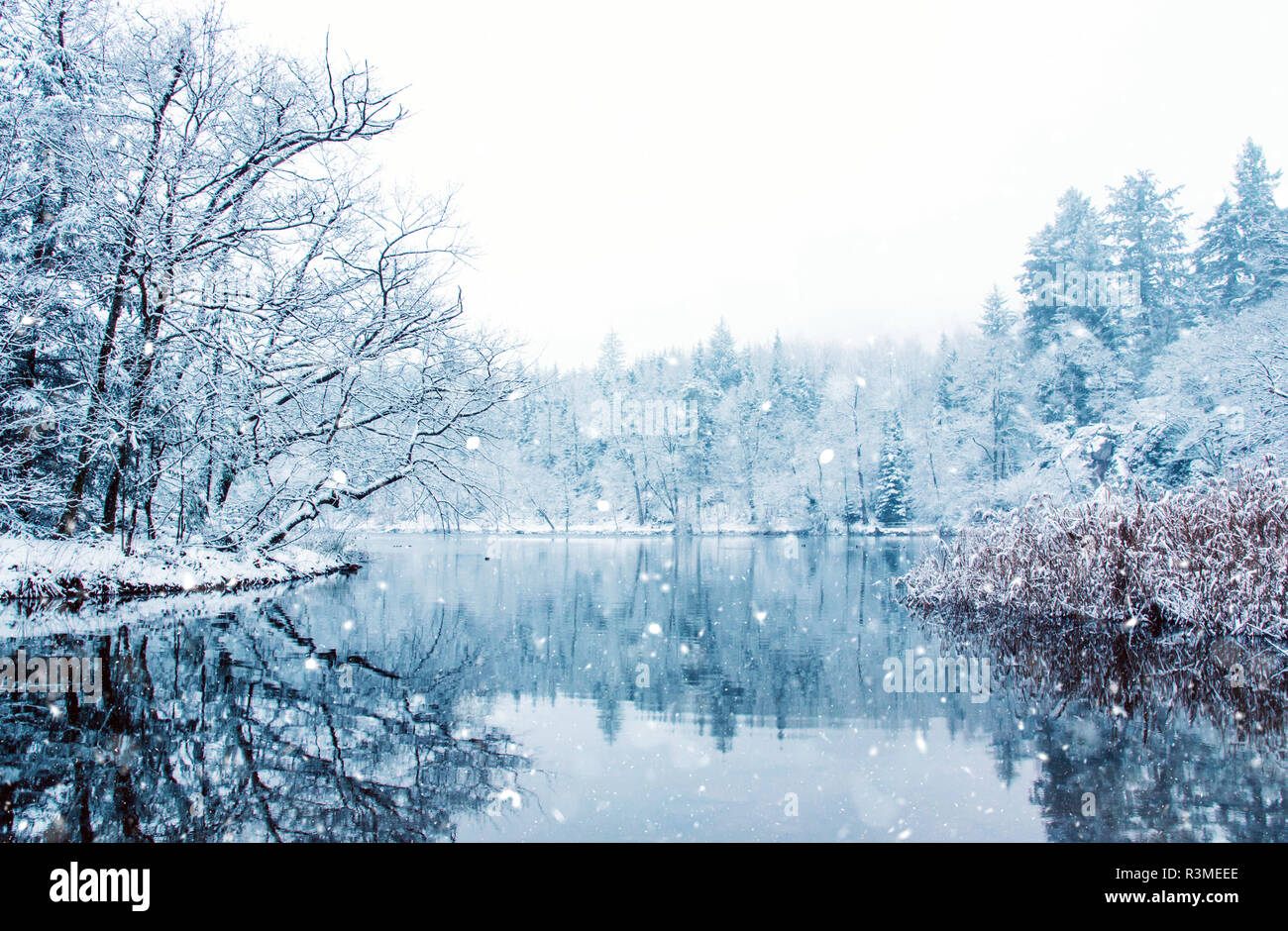 Frozen nature hi-res stock photography and images - Alamy
