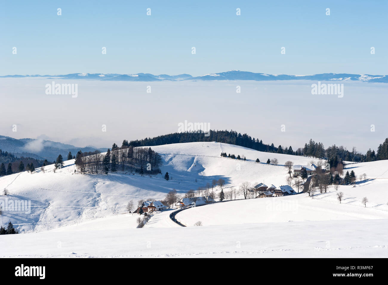 wintery black forest with vosges in the background Stock Photo