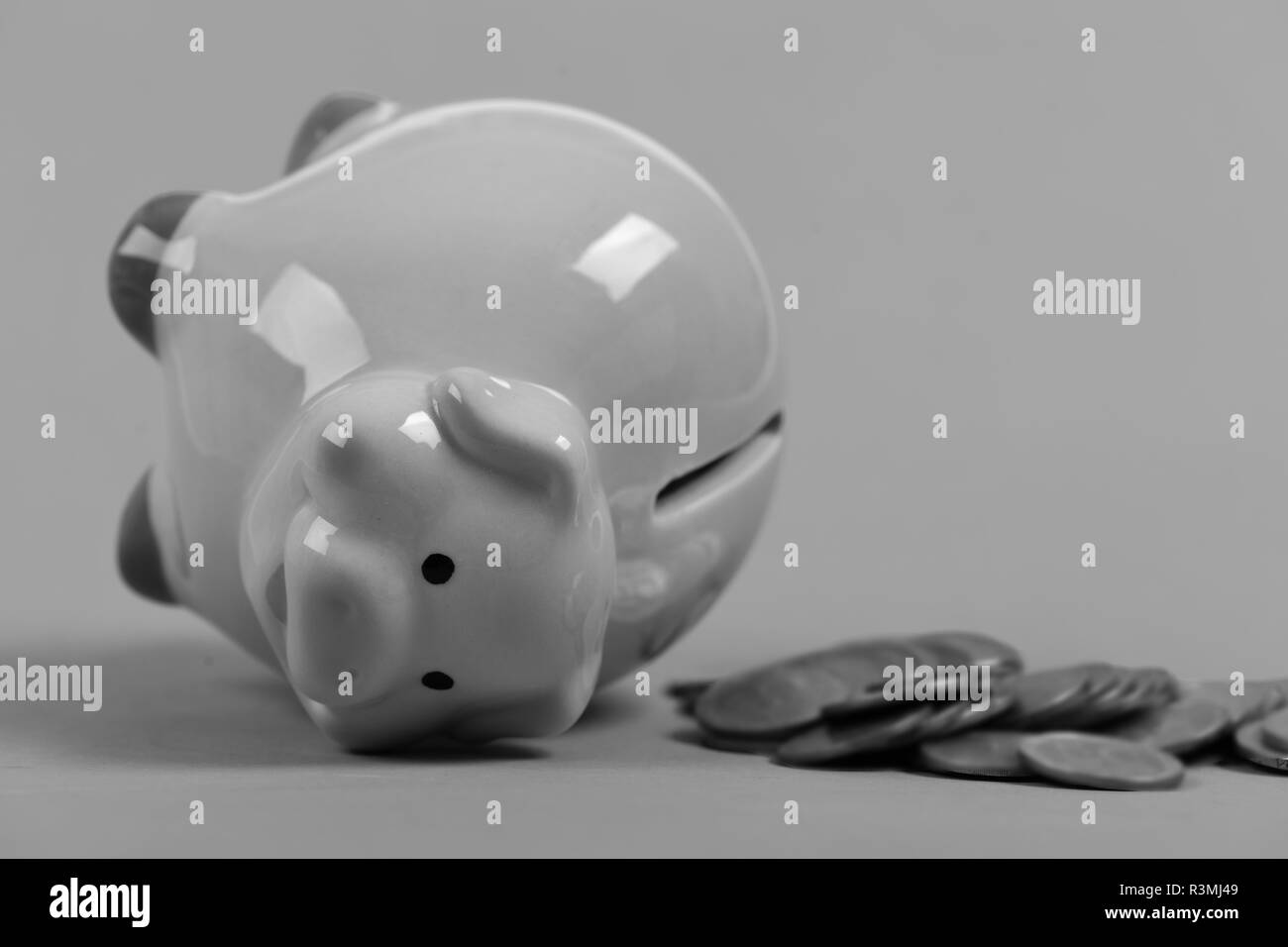 Ceramic toy pig on its back with money fallen out of it on pink background. Budget loss and tax payments concept. Investments and income growth idea.  Stock Photo